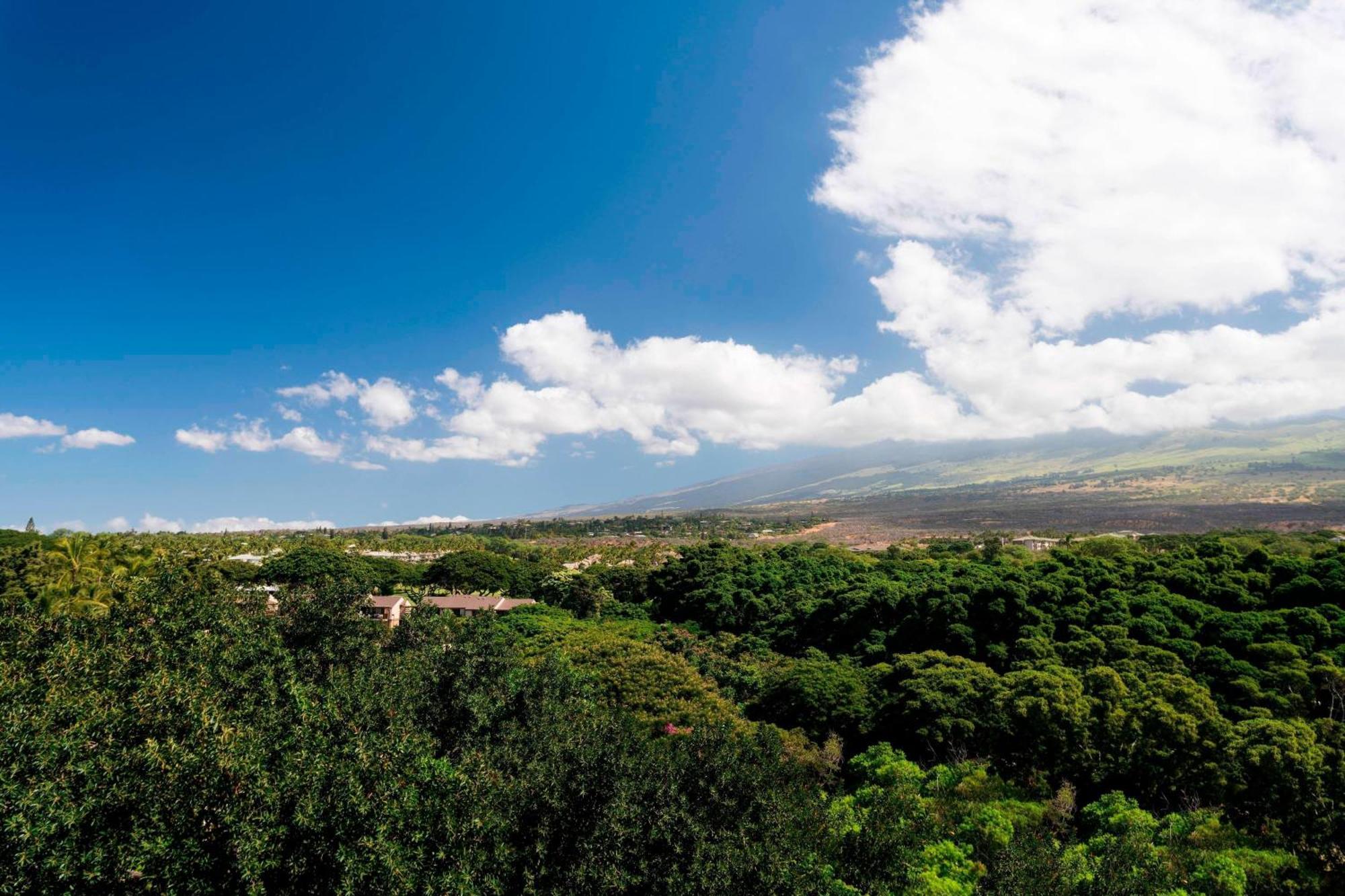 Wailea Beach Resort - Marriott, Maui Dış mekan fotoğraf