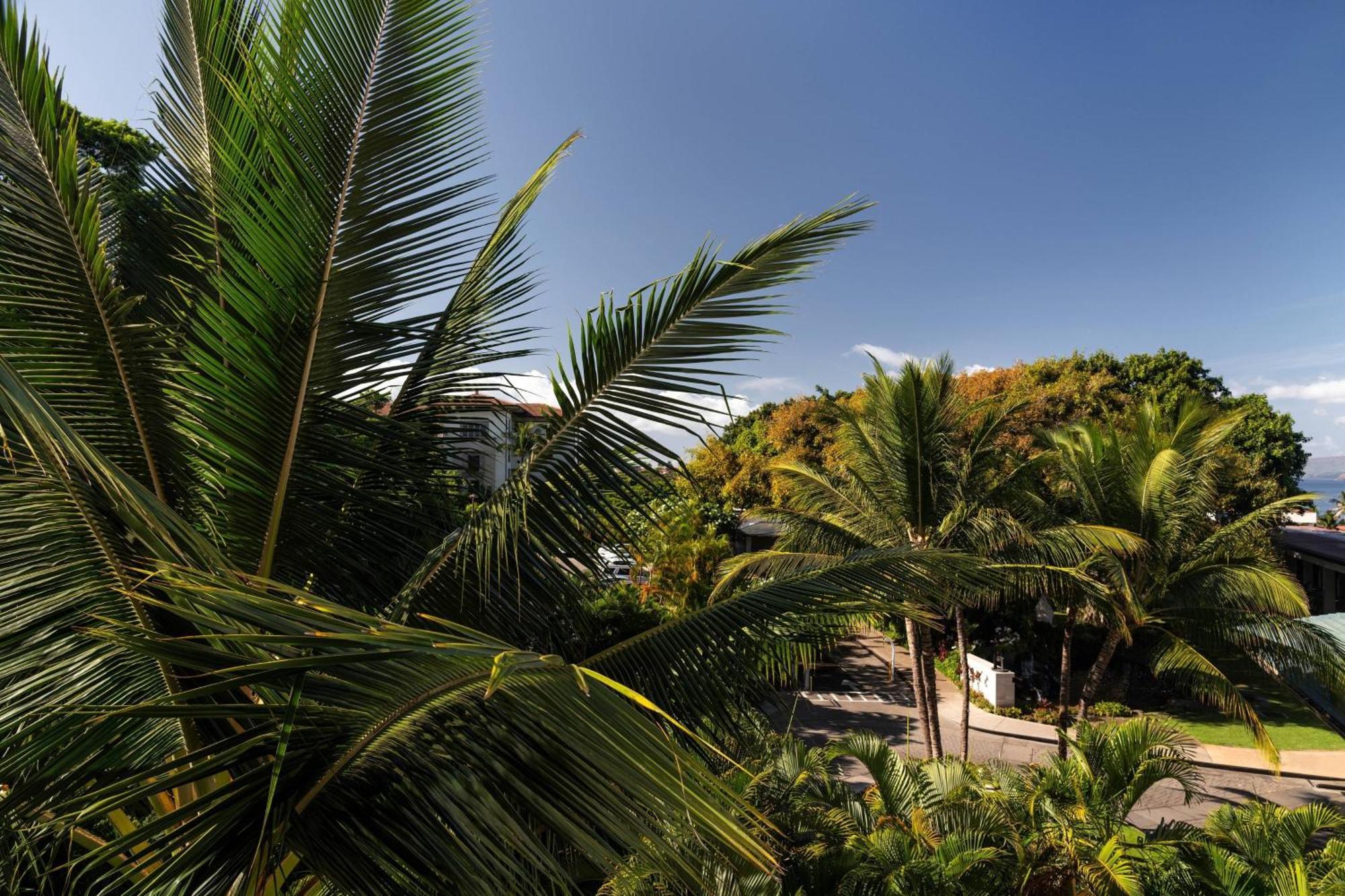 Wailea Beach Resort - Marriott, Maui Dış mekan fotoğraf